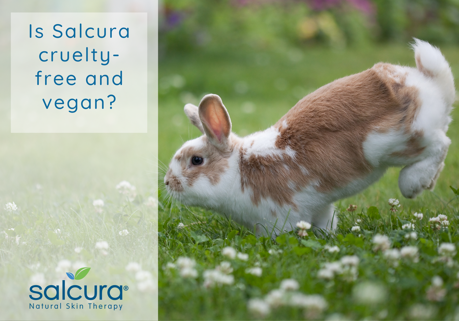 Are Salcura products cruelty-free and vegan?