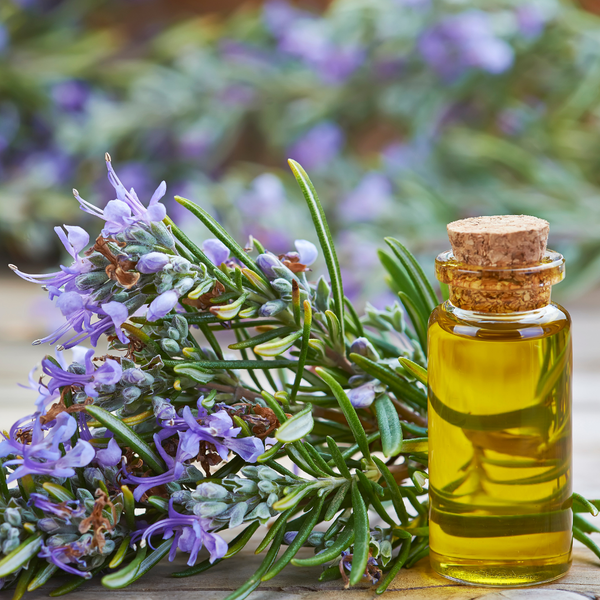 Rosemary Leaf Oil